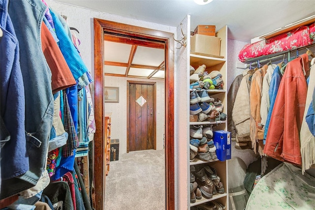 spacious closet featuring carpet