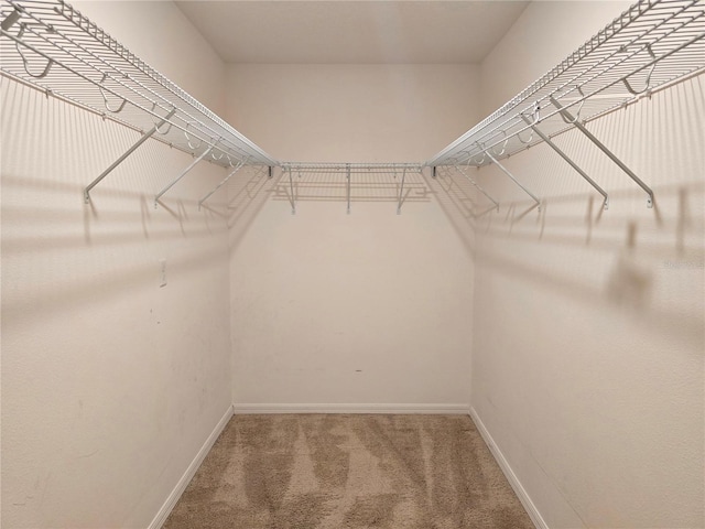 walk in closet with carpet