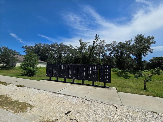 6949 Crested Orchid Dr, Brooksville, FL 34602 - photo 46