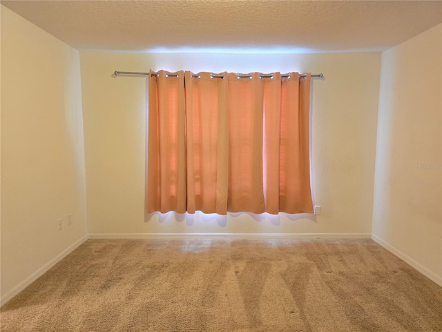 empty room featuring light colored carpet and a textured ceiling