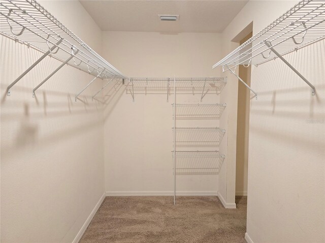 spacious closet with carpet flooring