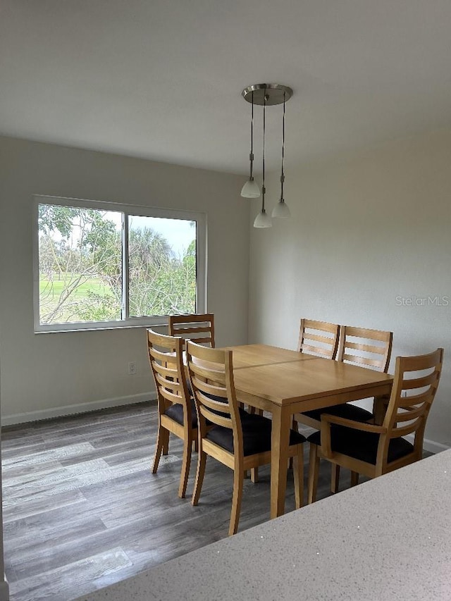 dining area featuring dark wood-type flooring