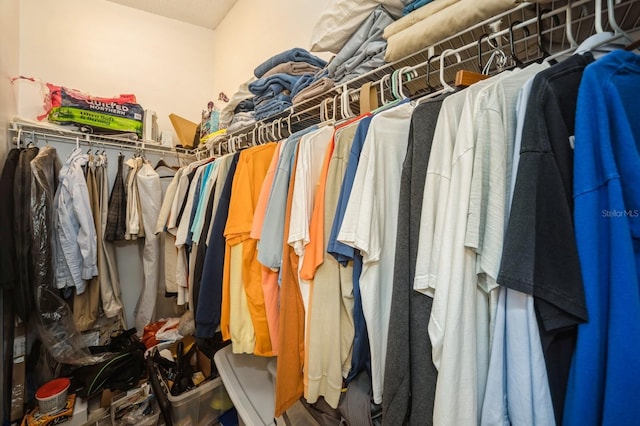 view of walk in closet