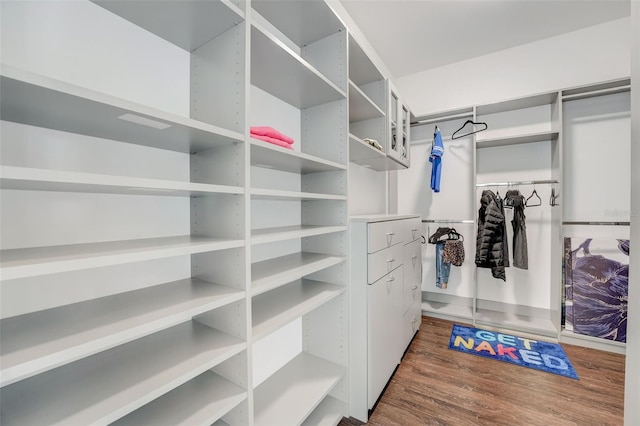 spacious closet with dark hardwood / wood-style floors