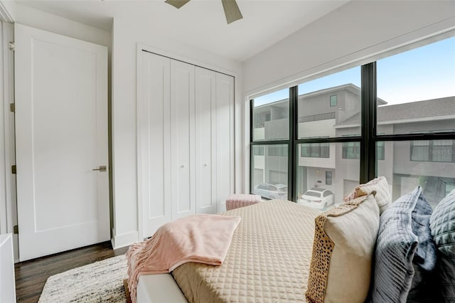 bedroom with dark hardwood / wood-style floors and ceiling fan