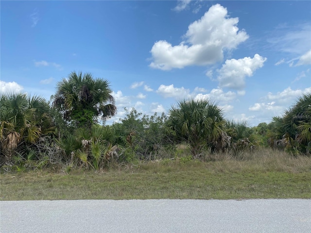 3703 E 17th St, Lehigh Acres FL, 33972 land for sale