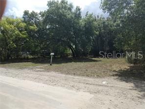 913 W Warren St, Plant City FL, 33563 land for sale