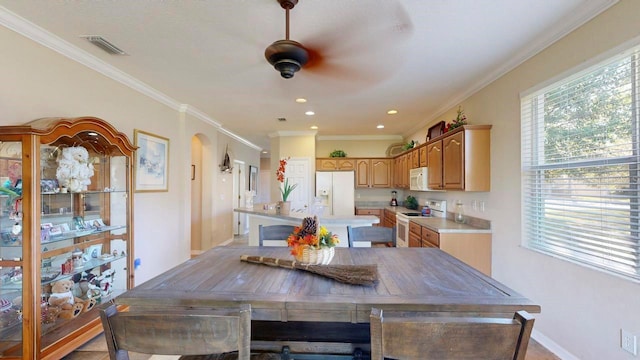 dining area with ceiling fan and crown molding