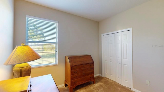 living area featuring plenty of natural light and light colored carpet