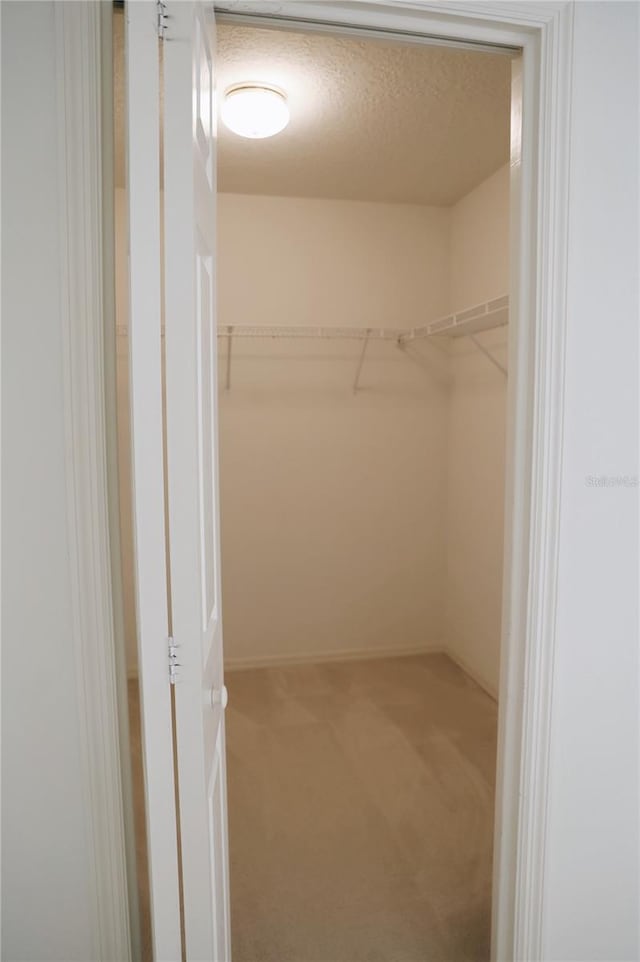 spacious closet with carpet floors