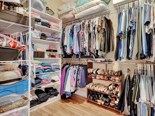 walk in closet with light wood-type flooring