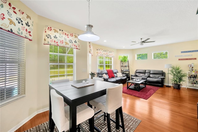 dining room featuring ceiling fan and hardwood / wood-style flooring