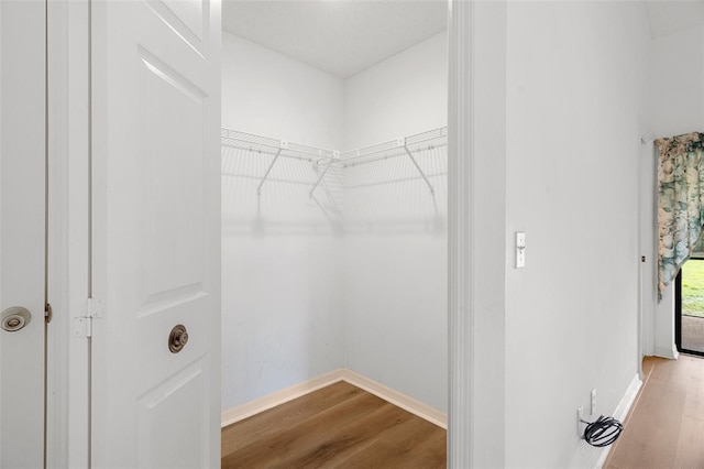 walk in closet featuring light hardwood / wood-style floors