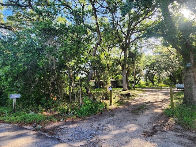 7316 Edgemere Rd, Tampa FL, 33625 land for sale