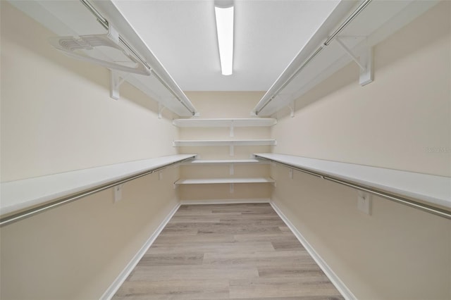 walk in closet featuring light hardwood / wood-style flooring