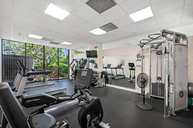 exercise room featuring floor to ceiling windows and a drop ceiling