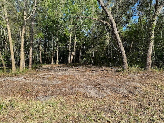 Marley Ave, New Port Richey FL, 34654 land for sale