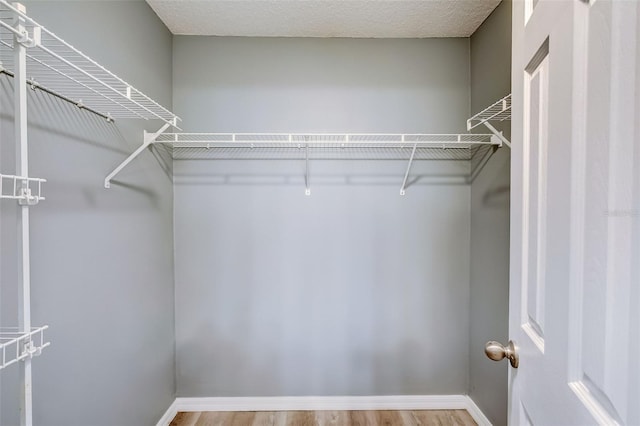 spacious closet with light hardwood / wood-style floors