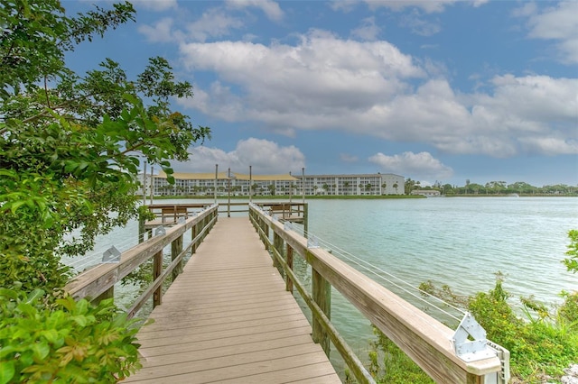 dock area with a water view