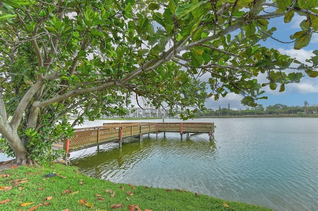 view of dock featuring a water view