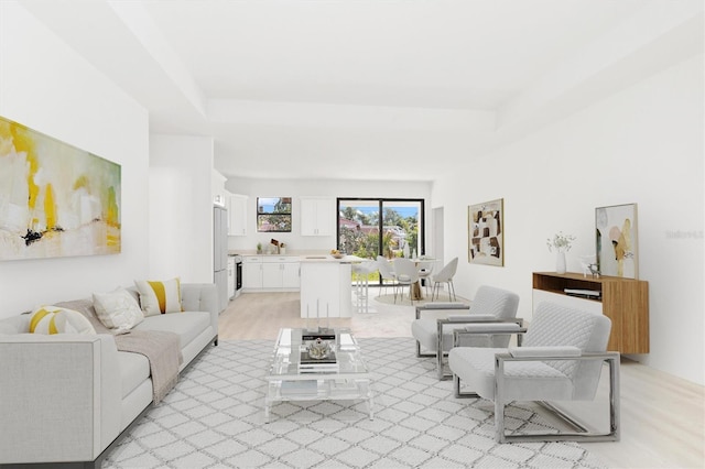 living room with a raised ceiling and light wood-type flooring