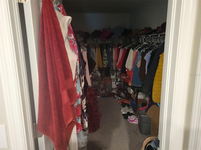 spacious closet featuring carpet flooring