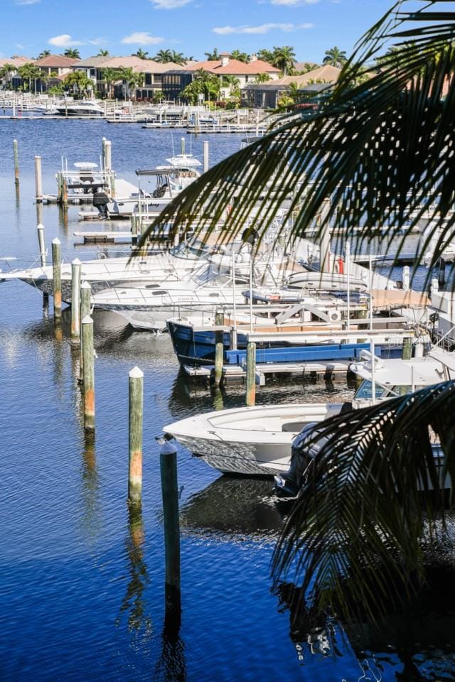 dock area featuring a water view