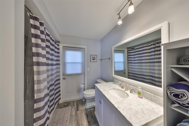 bathroom with vanity, wood-type flooring, and toilet