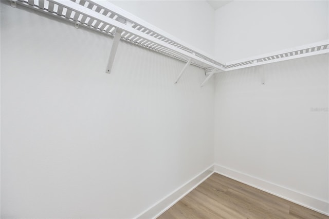 walk in closet featuring wood-type flooring