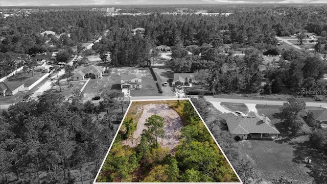 11249 Fool Duck Ave, Weeki Wachee FL, 34613 land for sale