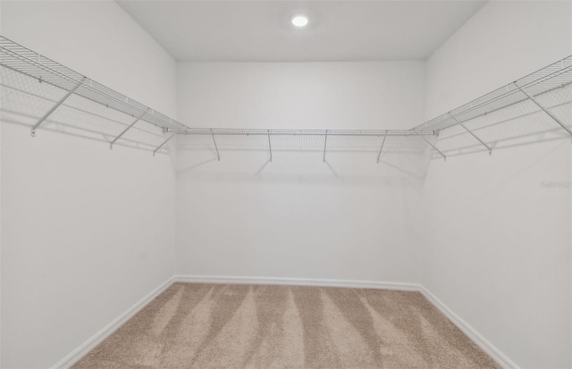 spacious closet with carpet