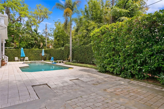 view of pool with a patio area