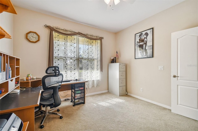 carpeted office featuring ceiling fan and a healthy amount of sunlight