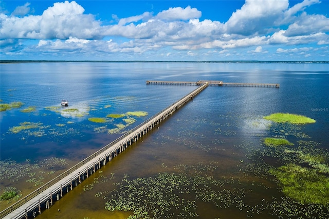 dock area featuring a water view