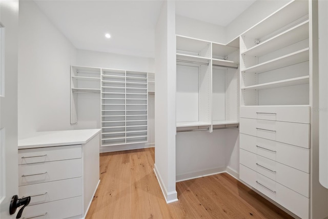 spacious closet with light wood-type flooring