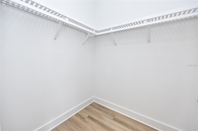 walk in closet with wood-type flooring