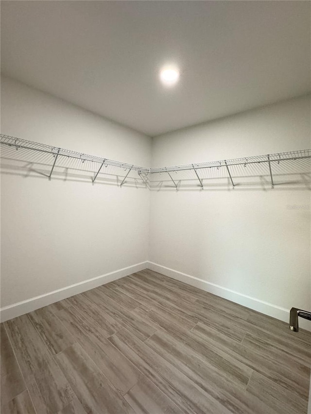 spacious closet featuring wood-type flooring