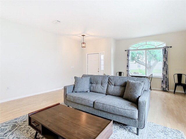 living room featuring light wood-type flooring