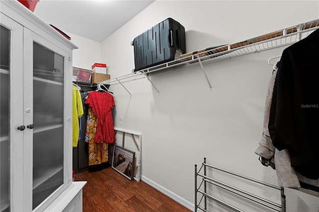 spacious closet featuring french doors and dark hardwood / wood-style floors