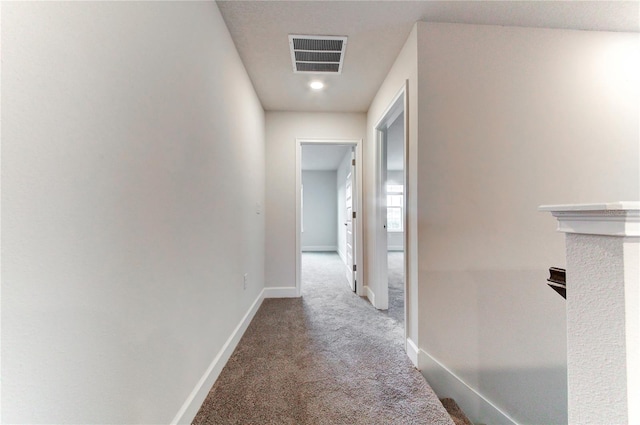 hallway featuring carpet floors