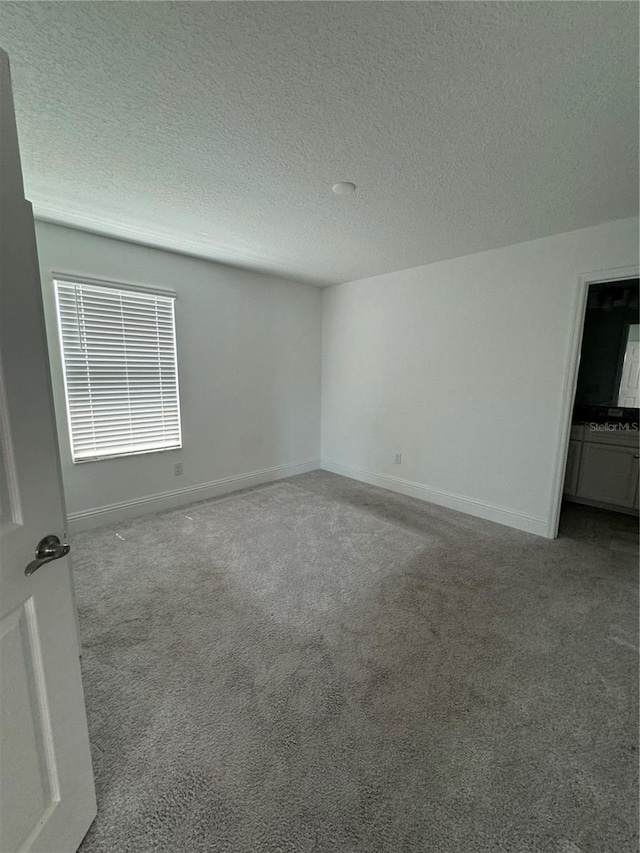 spare room featuring carpet floors and a textured ceiling