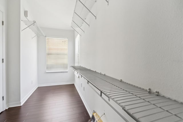 walk in closet featuring dark hardwood / wood-style flooring