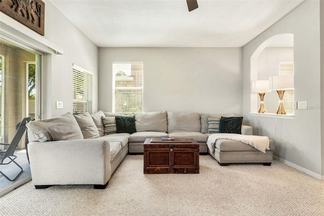 carpeted living room featuring plenty of natural light