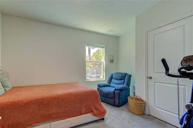 bedroom with carpet floors