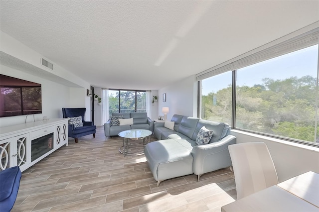 living room featuring a wealth of natural light and a textured ceiling