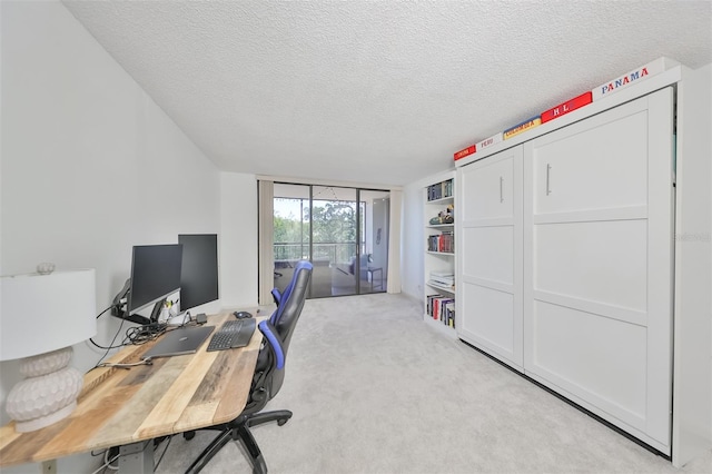 carpeted office space with a textured ceiling