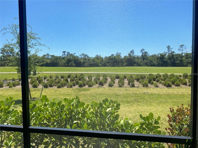 view of yard with a rural view