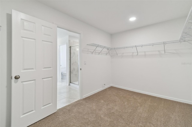 walk in closet featuring carpet flooring