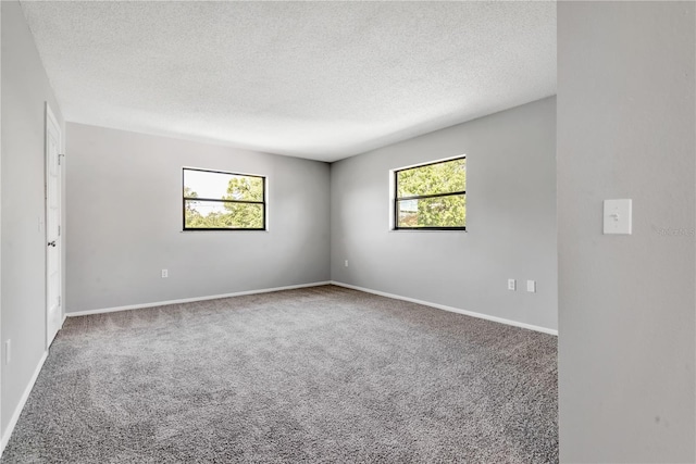 unfurnished room featuring carpet, a healthy amount of sunlight, and a textured ceiling