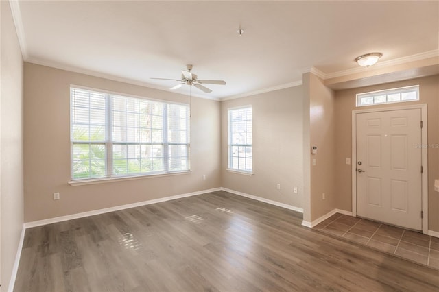 foyer featuring ornamental molding, dark hardwood / wood-style floors, ceiling fan, and a wealth of natural light